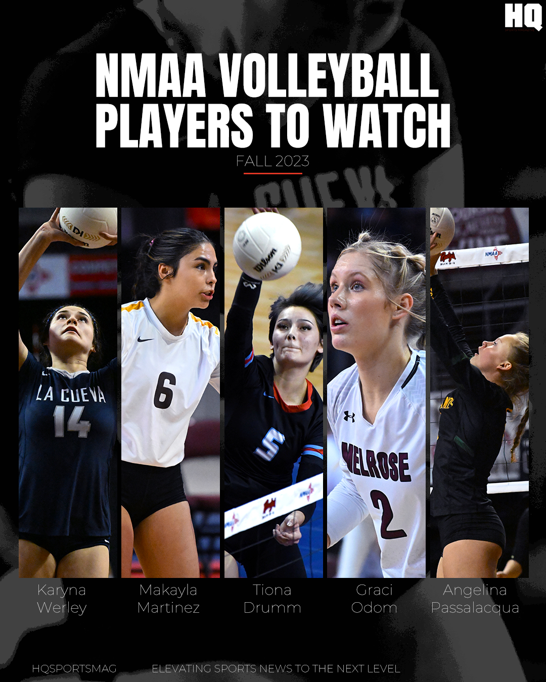 NMAA Players To Watch (Volleyball)